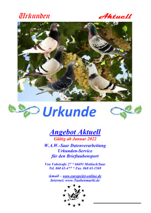 Seite1 vergrössert