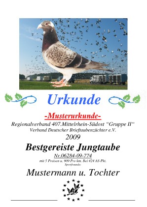 Beispiel vergrössert